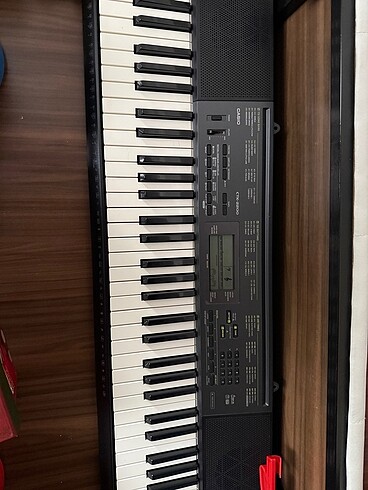 Casio org