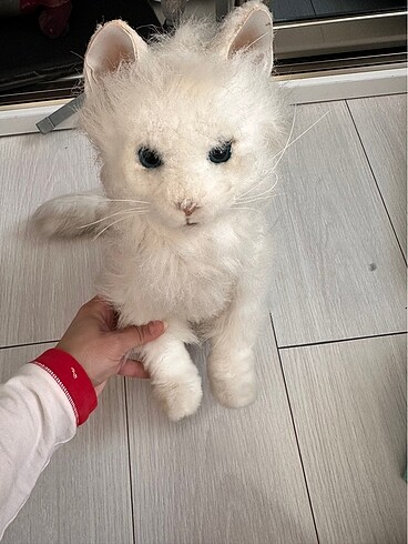 Beden Furreal Kedi