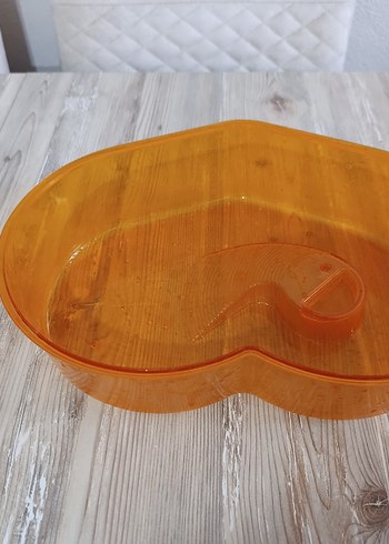 Su kaplumbağası yaşam evi - Görsel 3