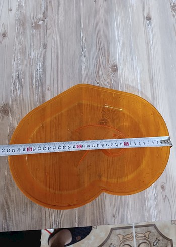 Su kaplumbağası yaşam evi - Görsel 7