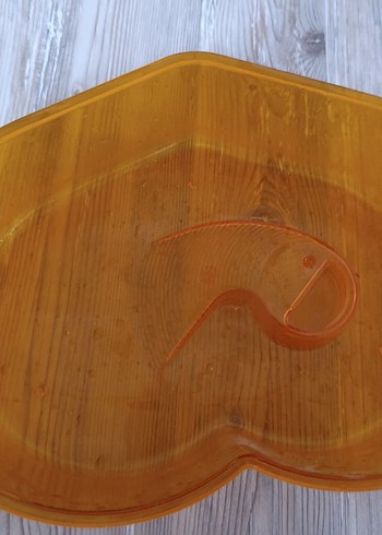 Su kaplumbağası yaşam evi - Görsel 5