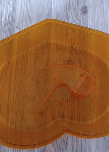 Su kaplumbağası yaşam evi - Görsel 6