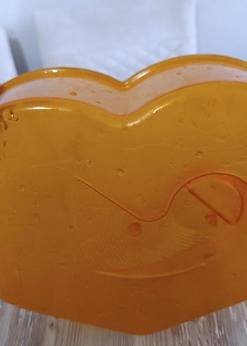 Su kaplumbağası yaşam evi - Görsel 4