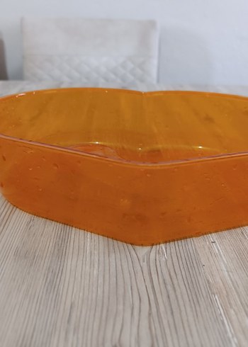 Su kaplumbağası yaşam evi - Görsel 2