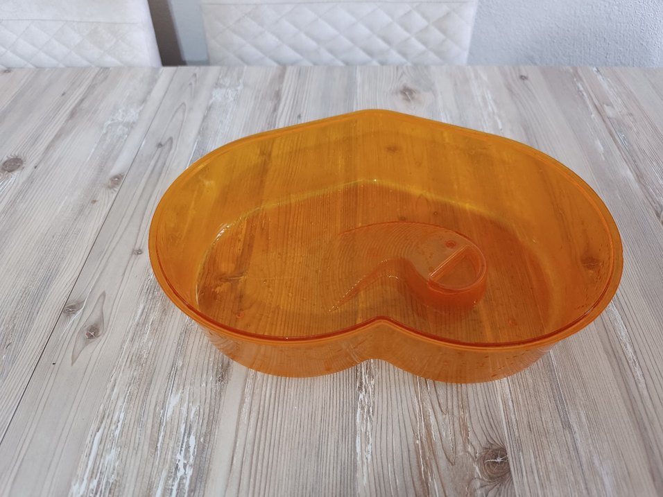 Su kaplumbağası yaşam evi - Görsel 3