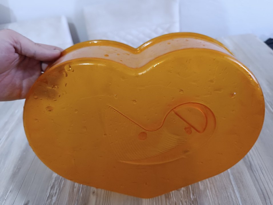 Su kaplumbağası yaşam evi - Görsel 4