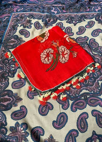 Eski antika iğne oyalı yazmalar. - Görsel 9