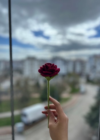 Tasarımcı Örgü Gül