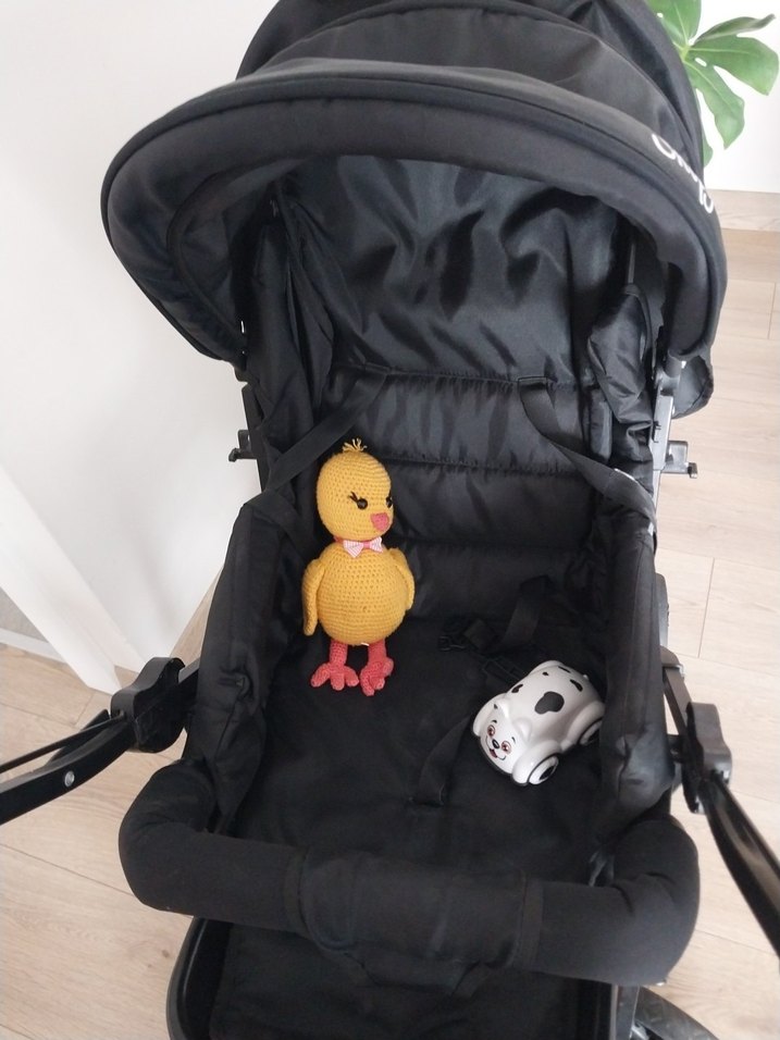 Siyah Bebek Arabası - Görsel 5