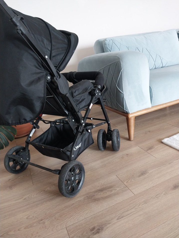 Siyah Bebek Arabası - Görsel 2
