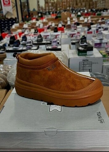 UGG bot 