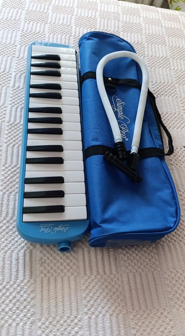 Mavi Pastel Melodika ve Taşıma Çantası - Görsel 2