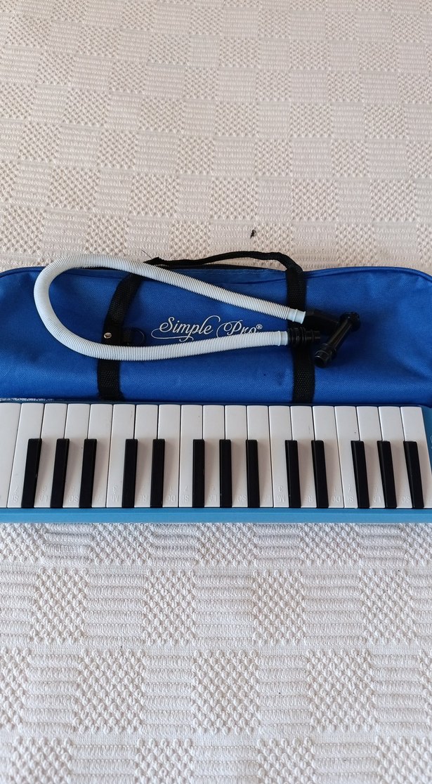 Mavi Pastel Melodika ve Taşıma Çantası - Görsel 3