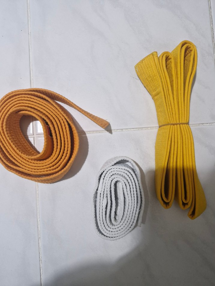 Tekvando seti - Görsel 3