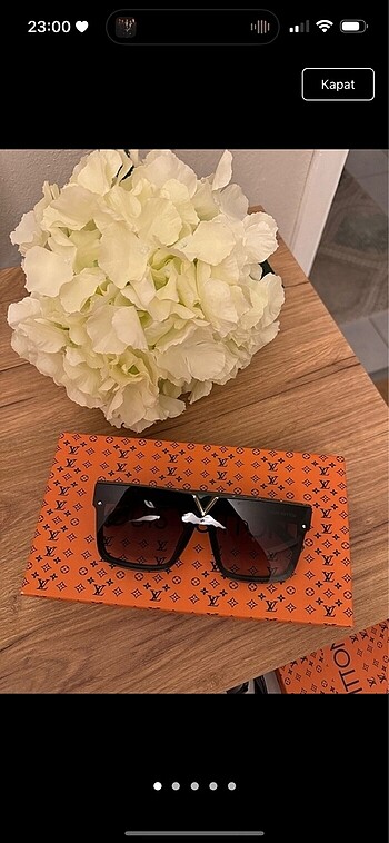 Louis Vuitton Gözlük