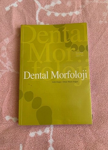 Dental morfoloji 