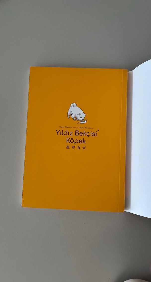 Yıldız Bekçisi Köpek - Çocuk Kitabı - Görsel 3
