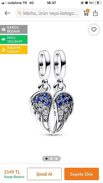 Melek kanatları charm