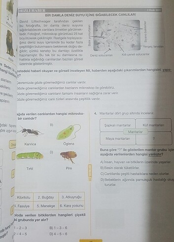  Fen Bilimleri 6.sinif Hız Yayınları