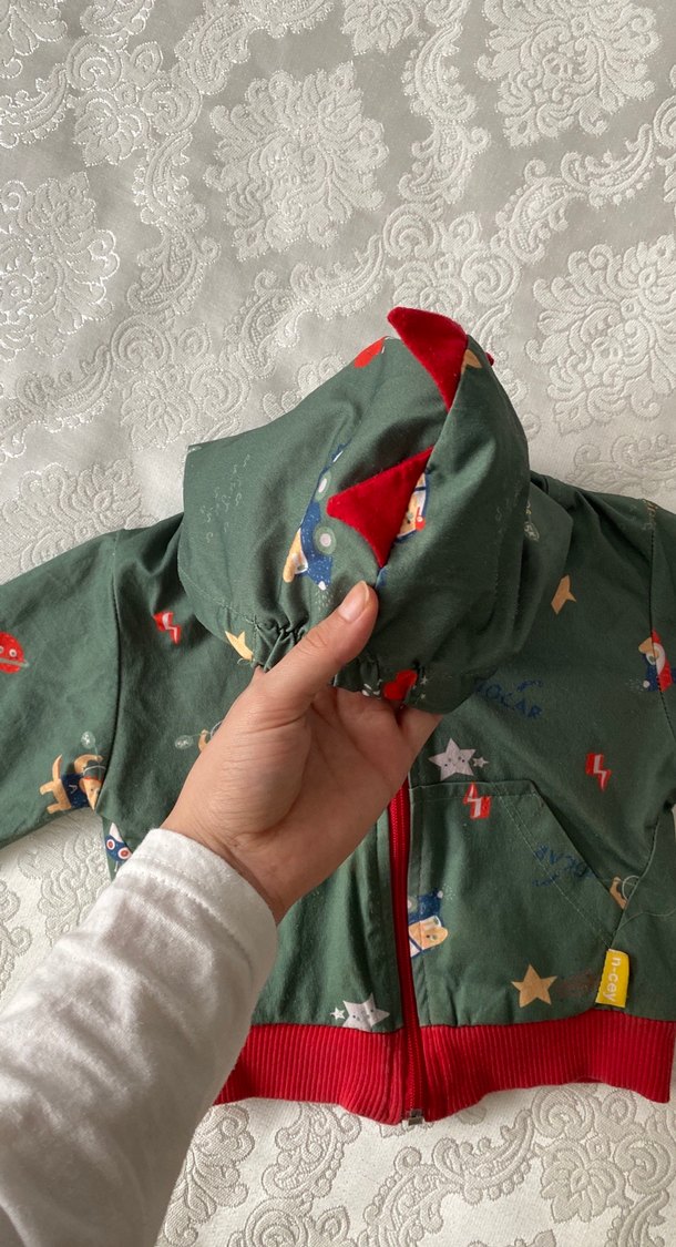 Kapüşonlu Fermuarlı Erkek Çocuk Yağmurluğu - Görsel 4