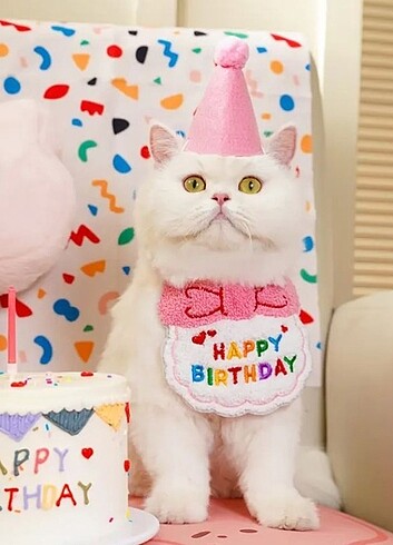 Happy Birthday Yazılı Kedi Önlüğü ve Şapkası