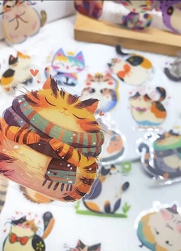 Büyük ve şeffaf 50'li Kedi Sticker