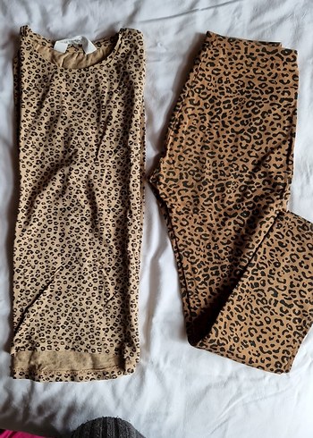 Leopar Takım - Görsel 3