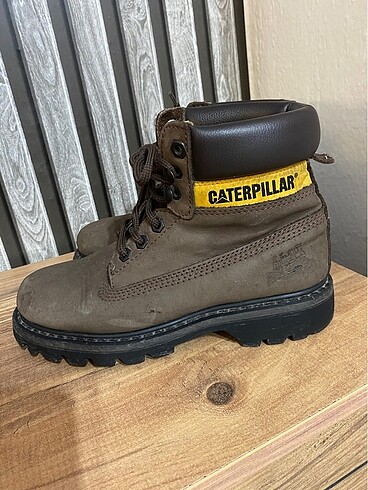 Cat Caterpıllar