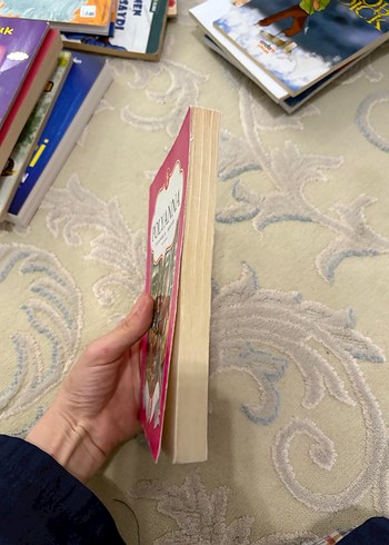 Polyanna Hikaye Kitabı - Görsel 2