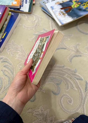 Polyanna Hikaye Kitabı - Görsel 3