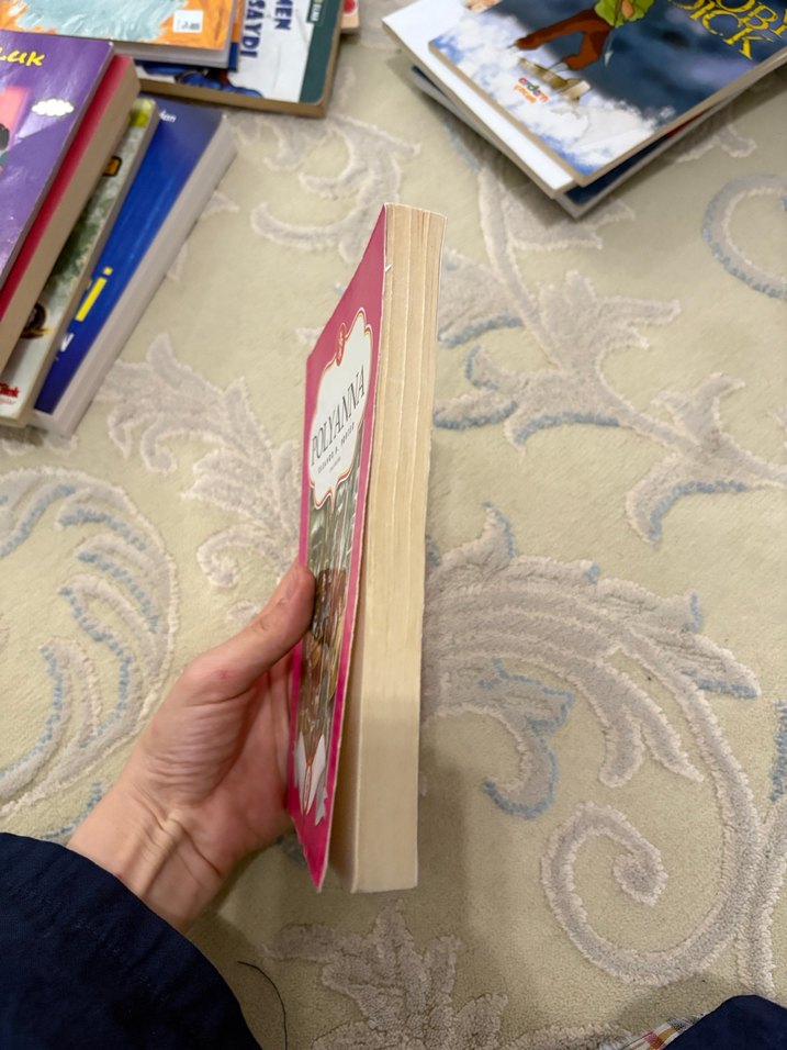 Polyanna Hikaye Kitabı - Görsel 2