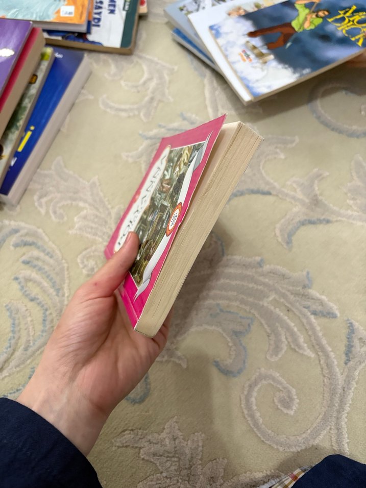 Polyanna Hikaye Kitabı - Görsel 3