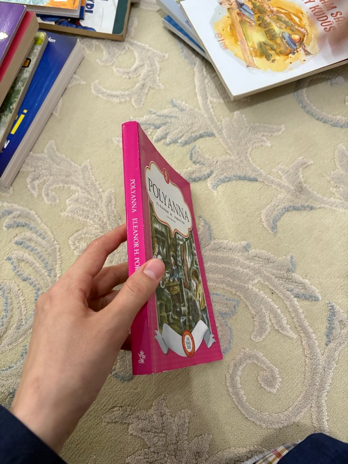 Polyanna Hikaye Kitabı - Görsel 4