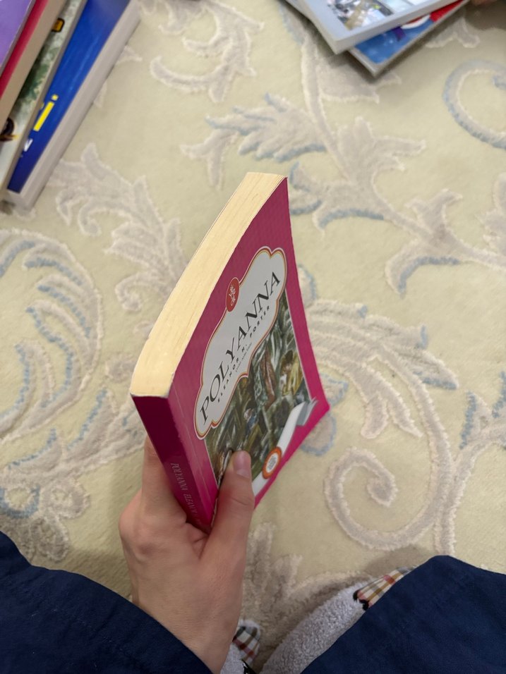 Polyanna Hikaye Kitabı - Görsel 5