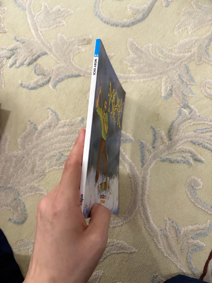 Moby Dick - Herman Melville - Görsel 4