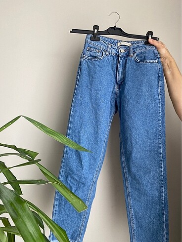 Kot jean