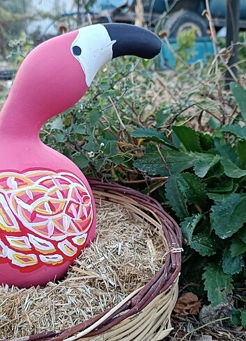 Flamingo su kabaği
