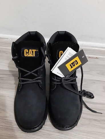Cat Orjinal cat bot