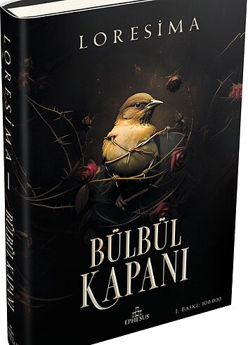 Kitabı aldım hiç ilgimi çekmedi ciltlidir