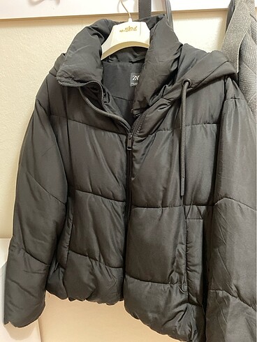 zara mont