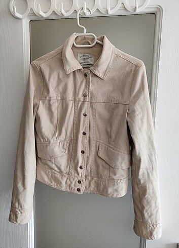 Stradivarius mont 