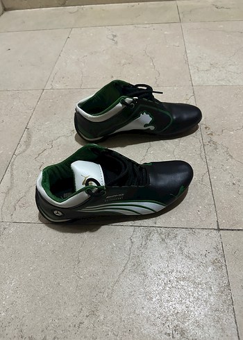 Puma ayaklanı - Görsel 4