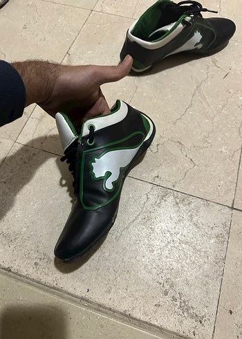 Puma ayaklanı - Görsel 2