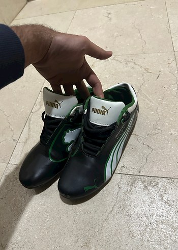 Puma ayaklanı - Görsel 5