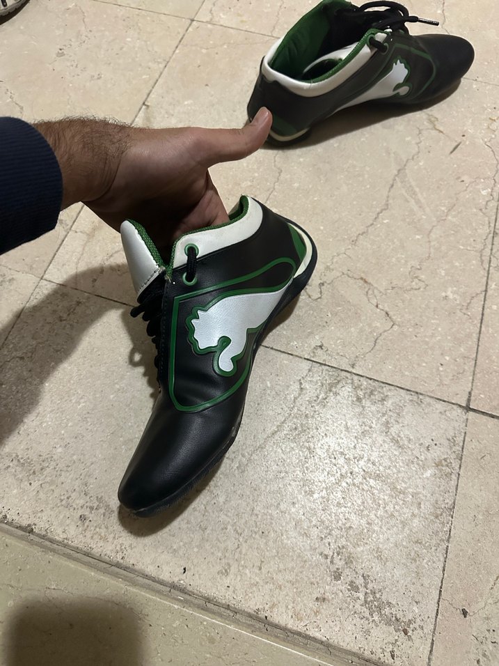 Puma ayaklanı - Görsel 2