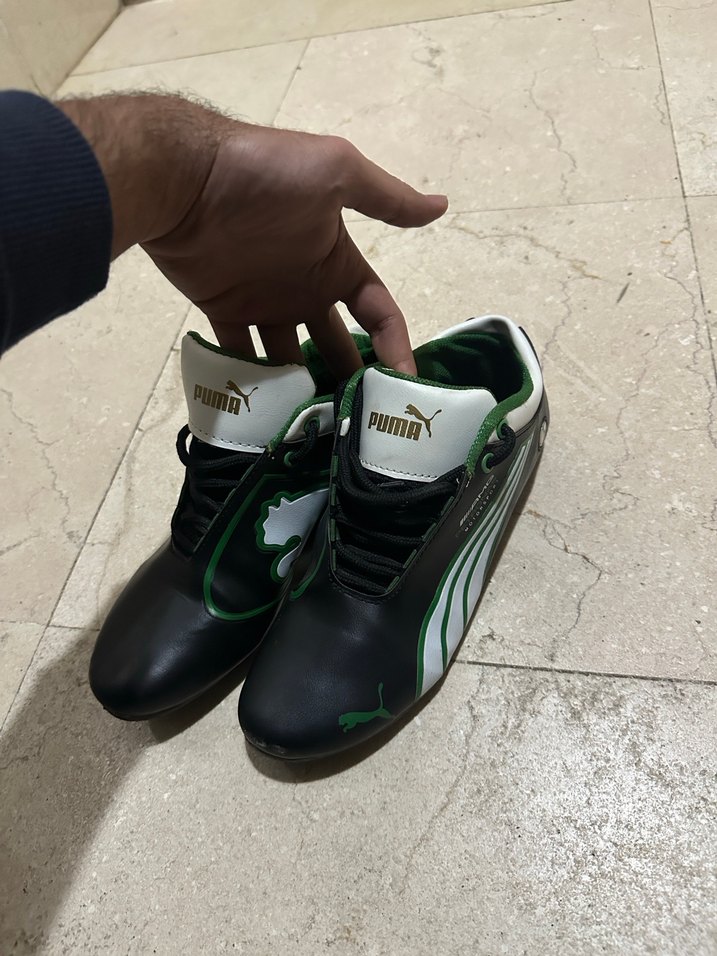 Puma ayaklanı - Görsel 5