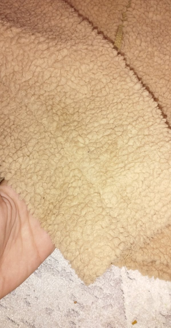 Bej Kadın Polar Mont crop - Görsel 2