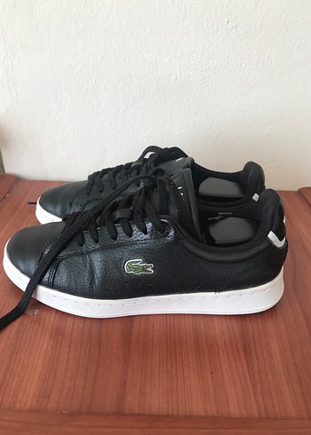 Lacoste 37
