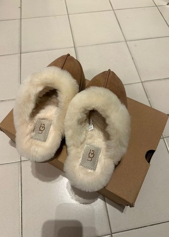 Ugg terlik - Görsel 2