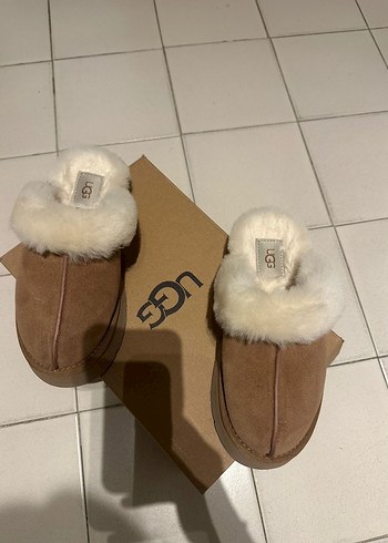 Ugg 36